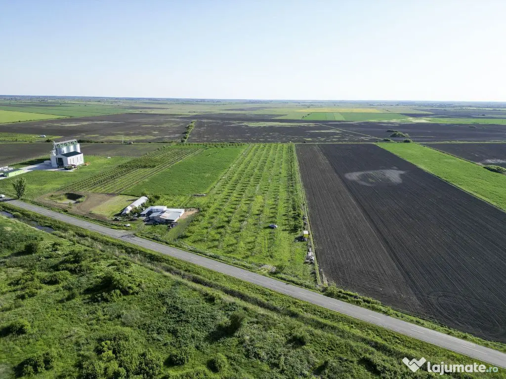 Livadă de nuci și pruni 2.4ha în Variașu Mare 