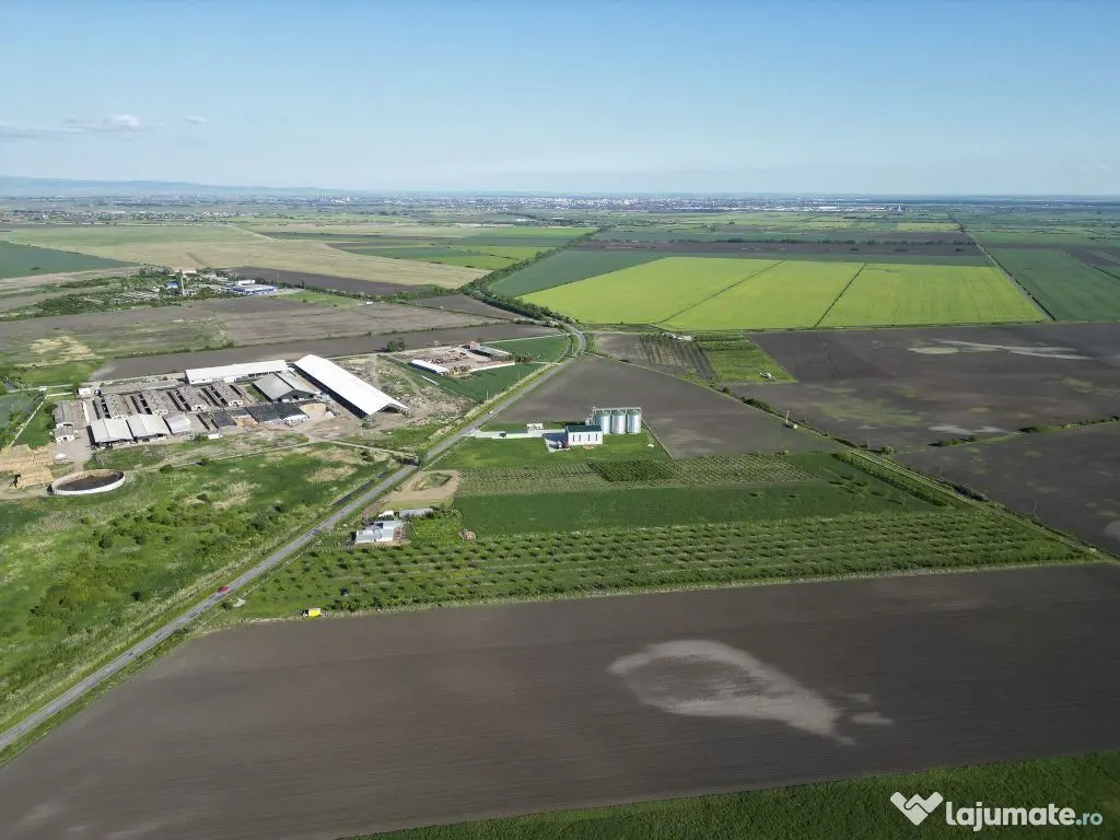 Livadă de nuci și pruni 2.4ha în Variașu Mare 