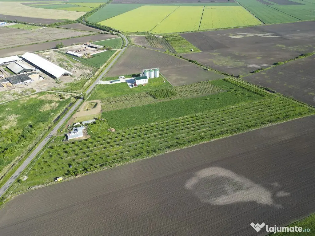 Livadă de nuci și pruni 2.4ha în Variașu Mare 