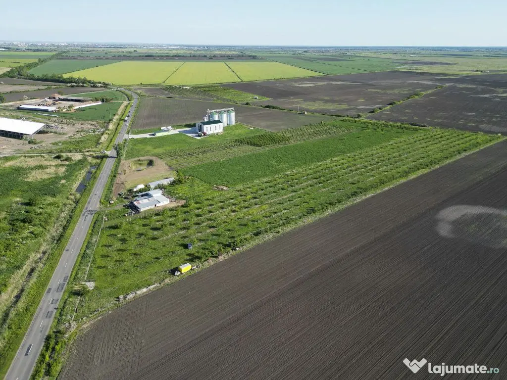 Livadă de nuci și pruni 2.4ha în Variașu Mare 