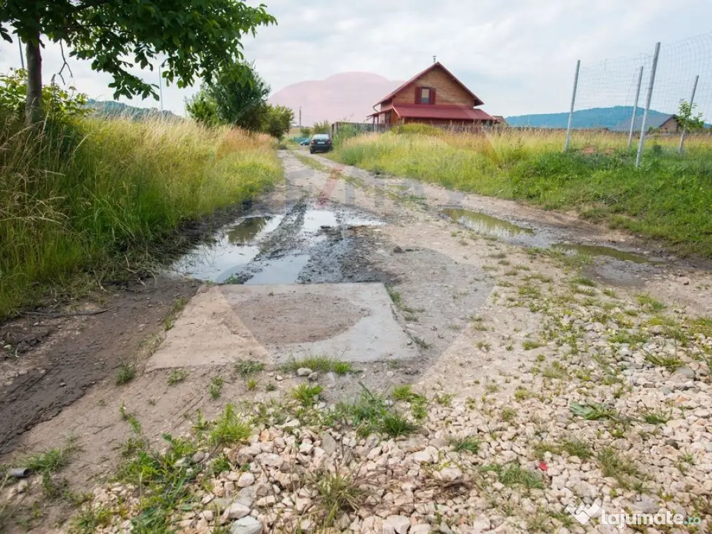 Teren Bod -Strada Harmanului, 732mp, posibil 1098mp/ 2196... 