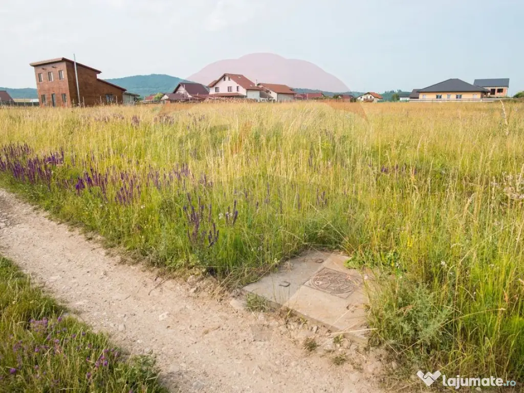 Teren Bod -Strada Harmanului, 732mp, posibil 1098mp/ 2196... 