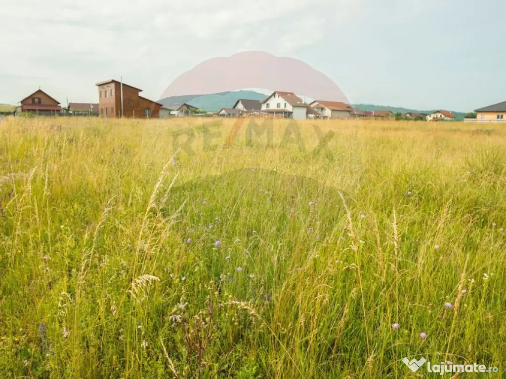 Teren Bod -Strada Harmanului, 732mp, posibil 1098mp/ 2196... 