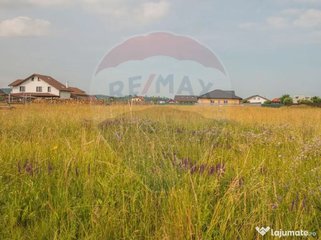 Teren Bod -Strada Harmanului, 732mp, posibil 1098mp/ 2196... 