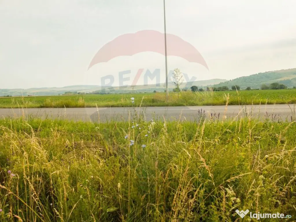 Teren Bod -Strada Harmanului, 732mp, posibil 1098mp/ 2196... 