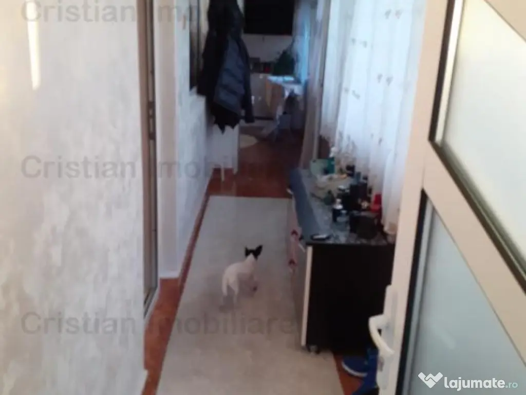 Vila 2018 P M zona Chercea 400mp utili Mobilata - utilata 