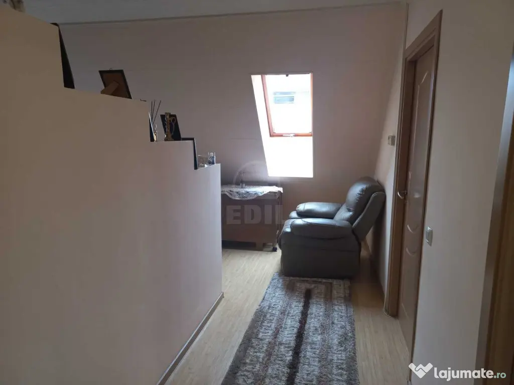 Apartament 1 camera la mansarda,zona Porii 