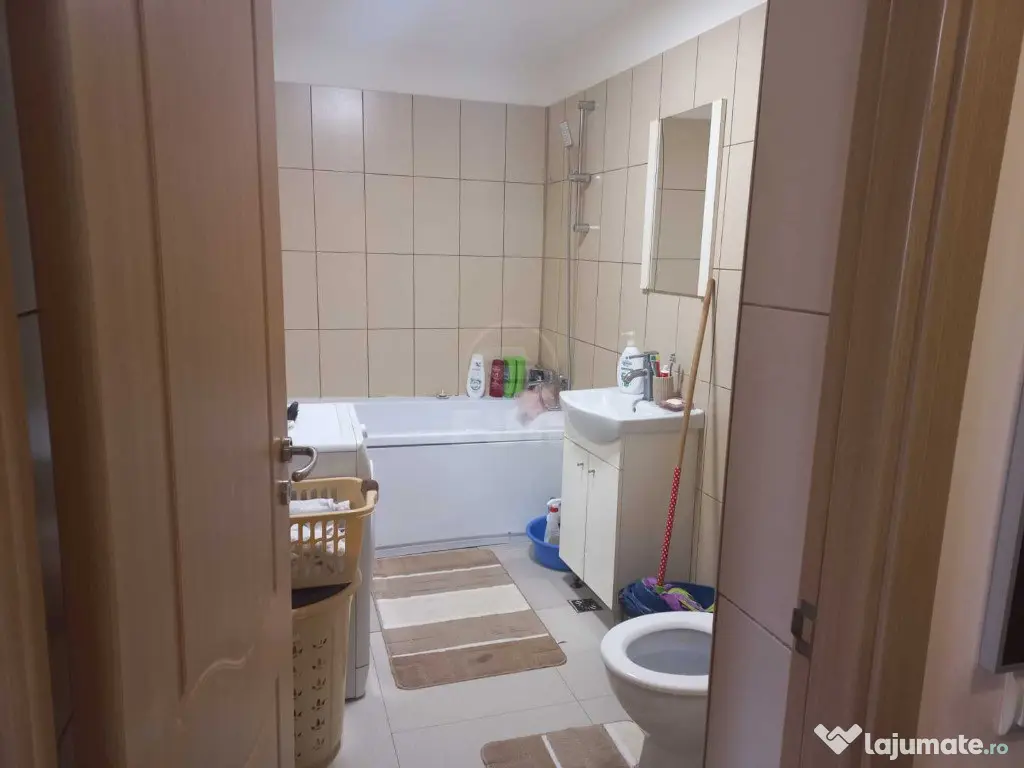 Apartament 1 camera la mansarda,zona Porii 