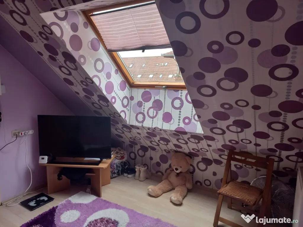 Apartament 1 camera la mansarda,zona Porii 