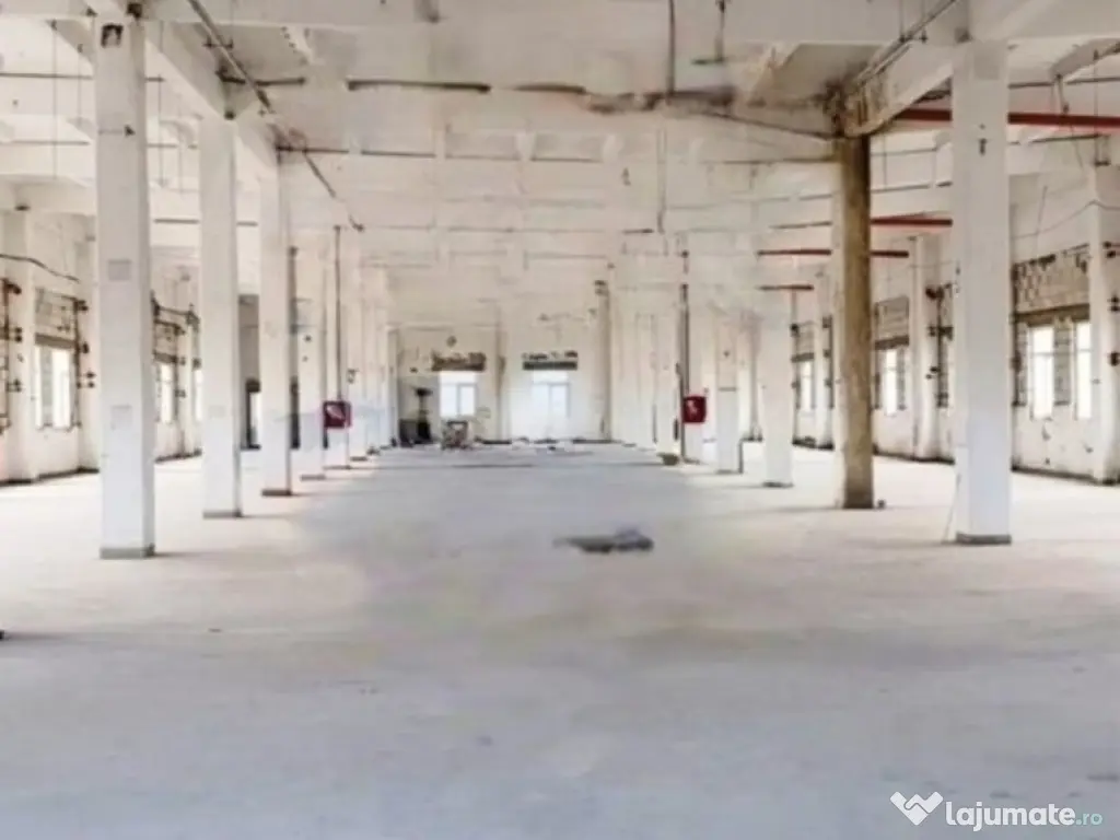 Oportunitate investiție Spatiu comercial, Vaslui 