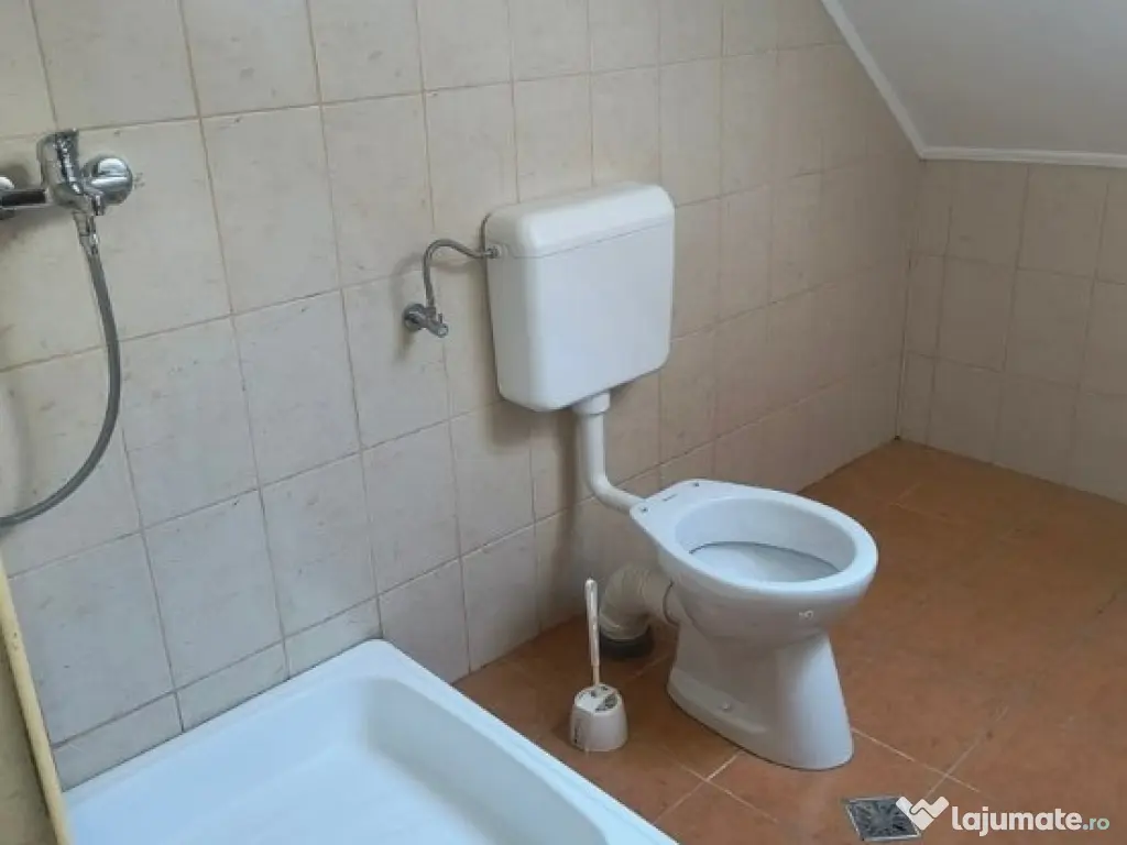 Lacul Tei, Vila, Spatioasa! 