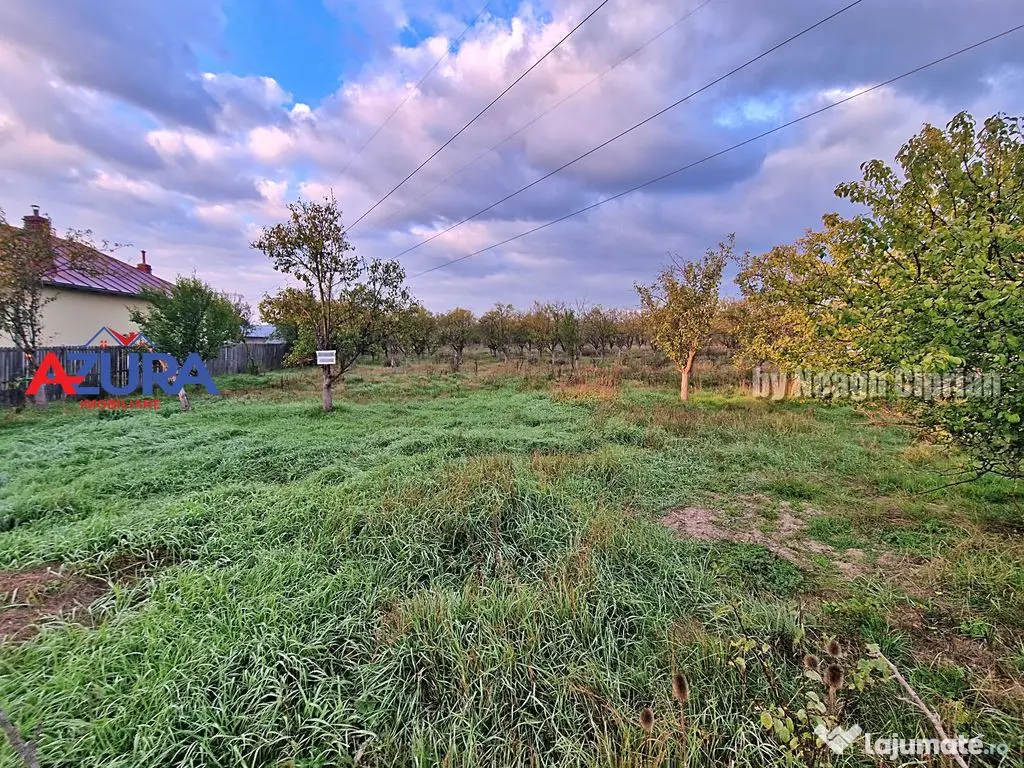 AZURA Imobiliare - Teren Bascov str Paisesti Deal 