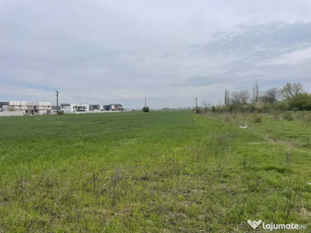 Domnești, Str Foișorului, 11470mp, deschidere 36ml, utilit 