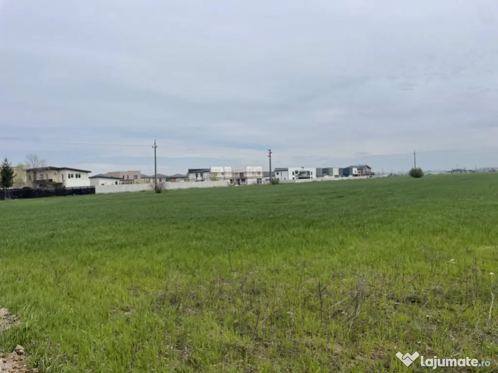 Domnești, Str Foișorului, 11470mp, deschidere 36ml, utilit 