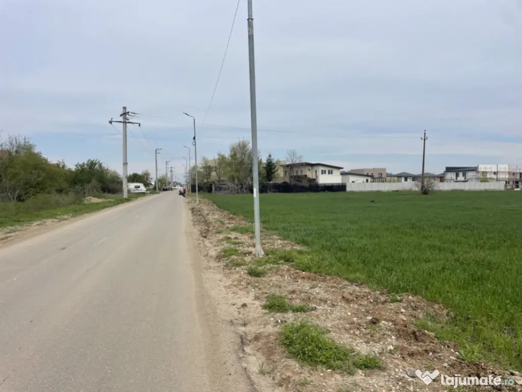 Domnești, Str Foișorului, 11470mp, deschidere 36ml, utilit 