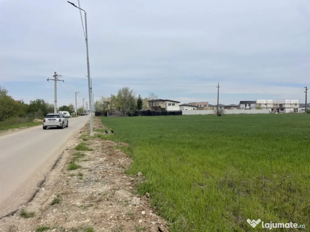 Domnești, Str Foișorului, 11470mp, deschidere 36ml, utilit 