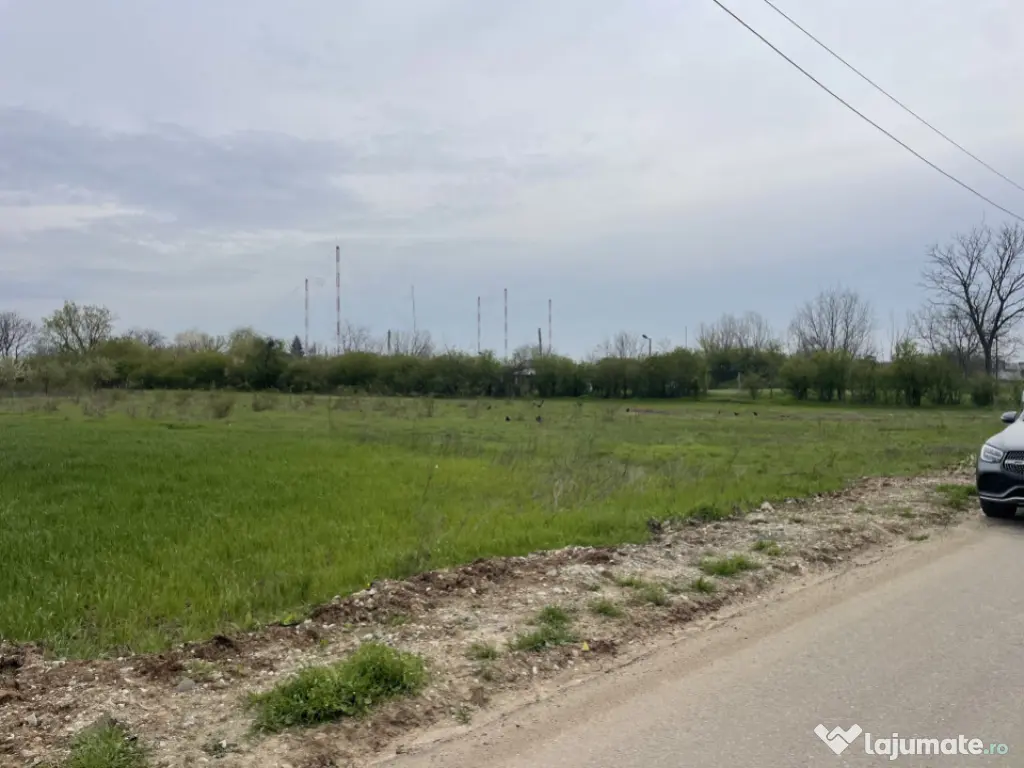 Domnești, Str Foișorului, 11470mp, deschidere 36ml, utilit 