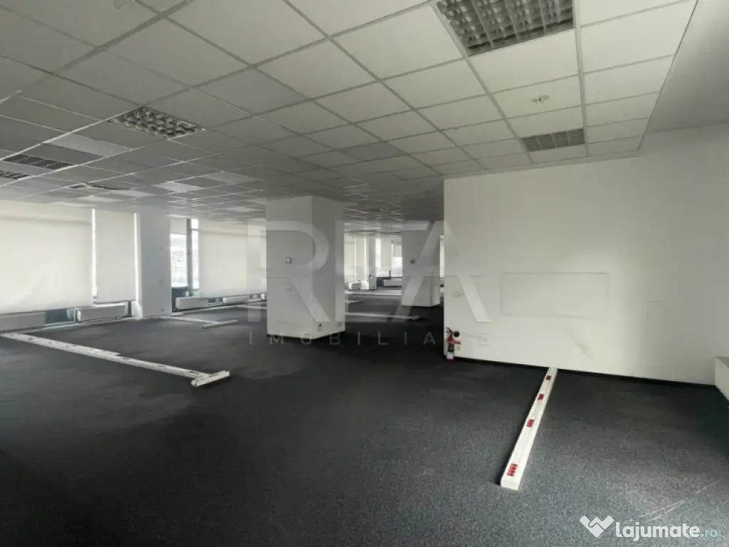 SPATIU COMERCIAL PASAJ BASARAB - CALEA GRIVITEI