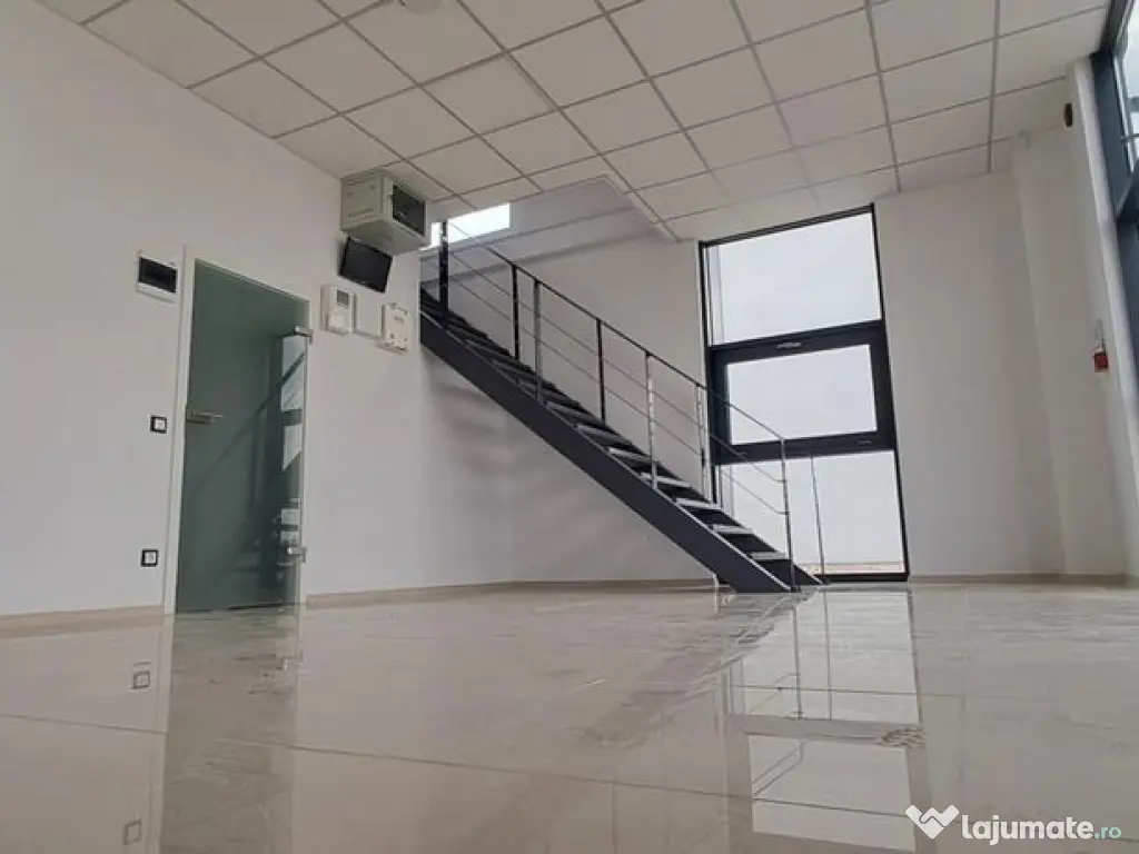 Spatiu de depozitare si productie Mogosoaia