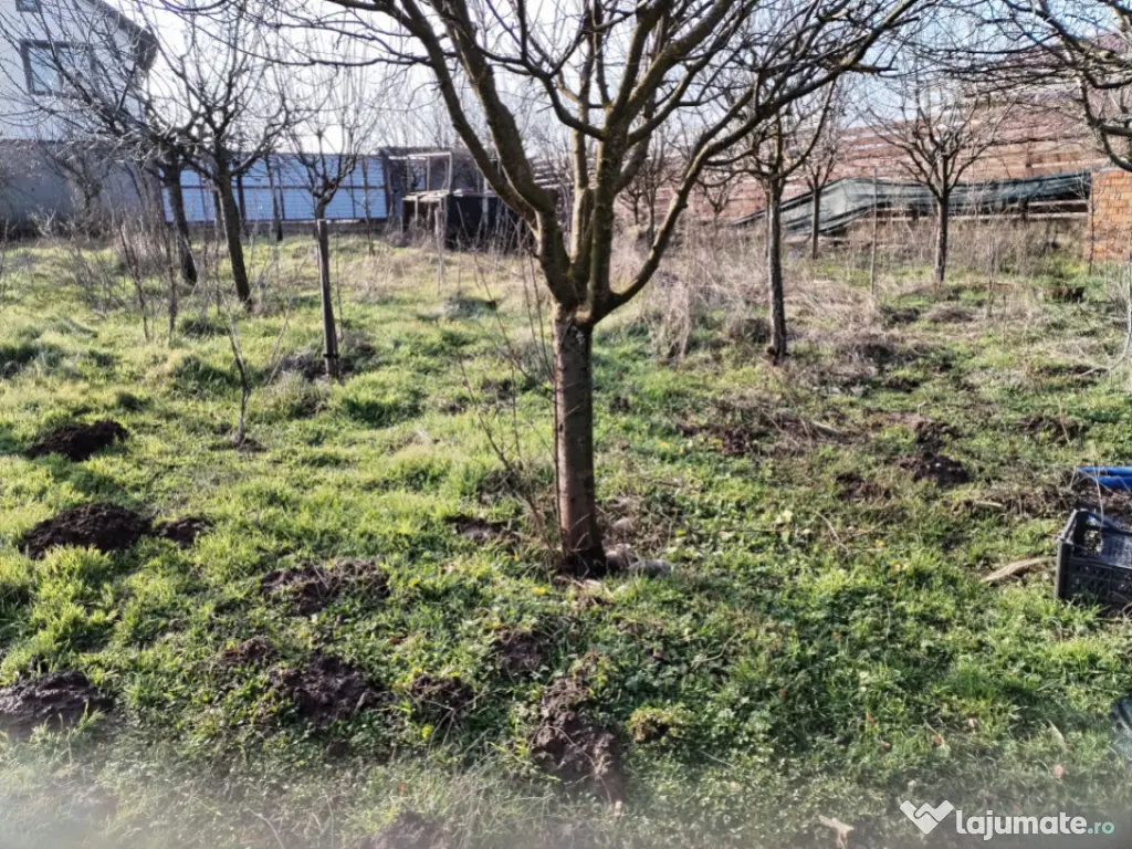 Teren intravilan 609 mp Vidra, deschidere 24 m, ideal pentru