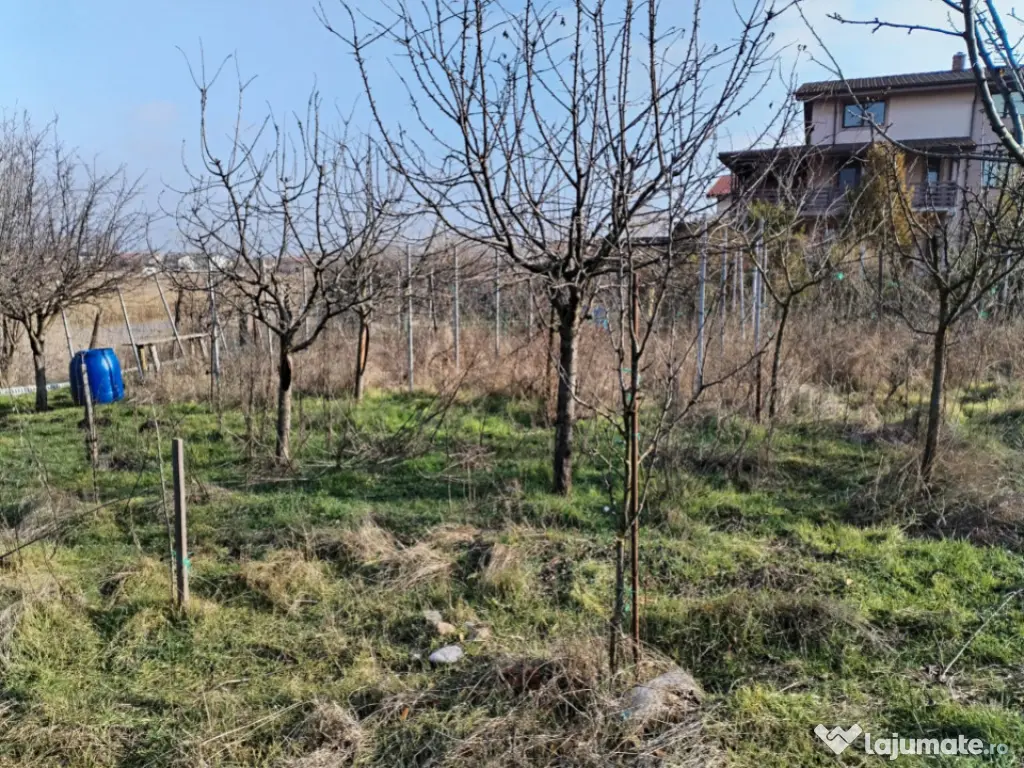 Teren intravilan 609 mp Vidra, deschidere 24 m, ideal pentru