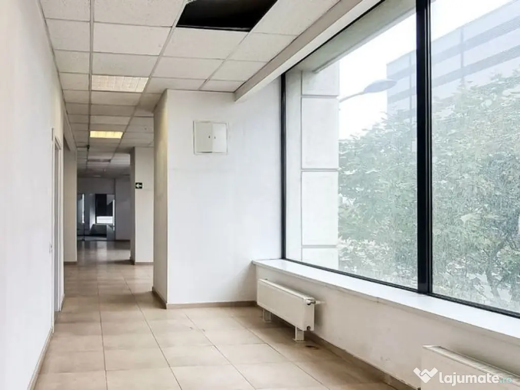 Zona P-ta Unirii P+M 195 mp trafic intens