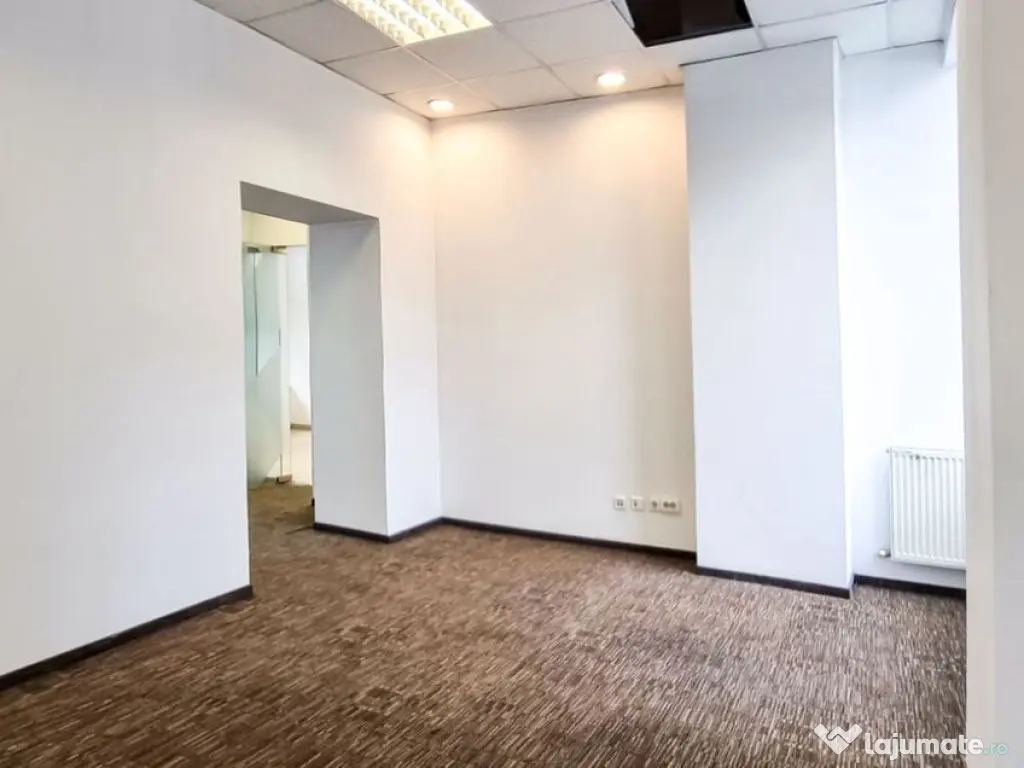 Zona P-ta Unirii P+M 195 mp trafic intens