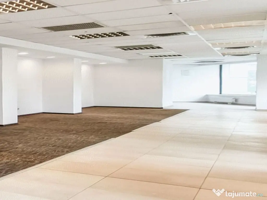 Zona P-ta Unirii P+M 195 mp trafic intens