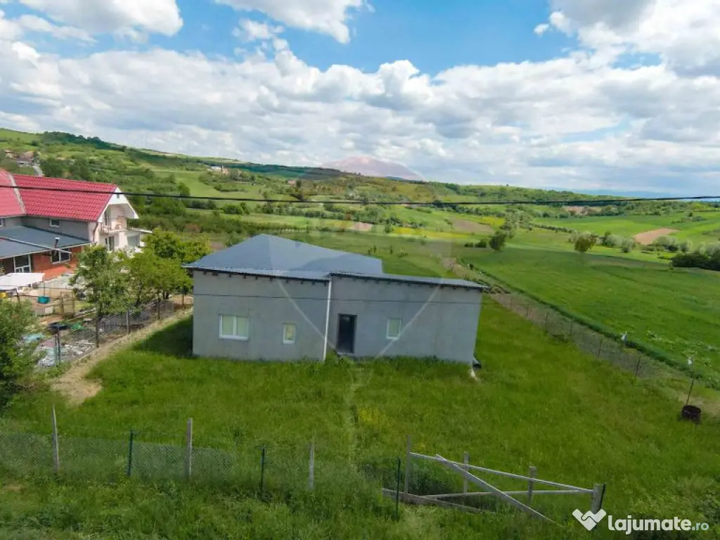 Casă cu 3 camere, anexă și 2042 mp teren de vânzare, ...