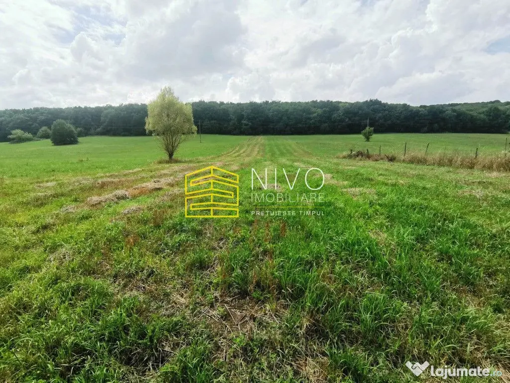 Teren intravilan - Budiu Mic - Str. Principală