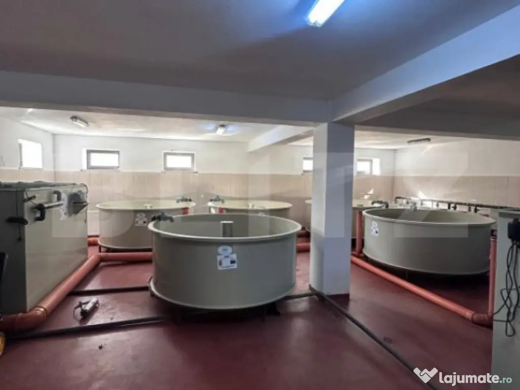 Pensiune/Ferma pescicola la cheie, teren 4000 mp, zona Molid