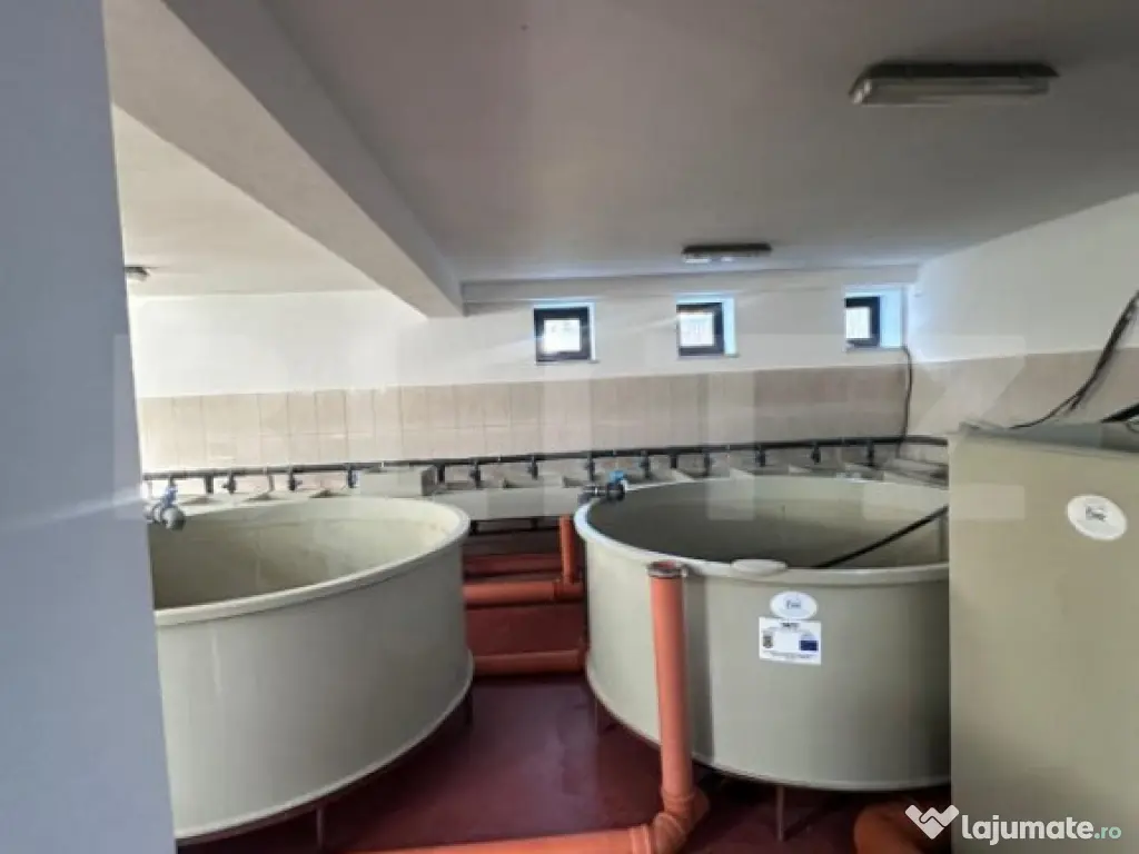 Pensiune/Ferma pescicola la cheie, teren 4000 mp, zona Molid