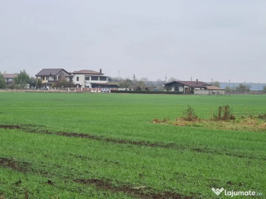 Teren Branesti -Romancierilor 