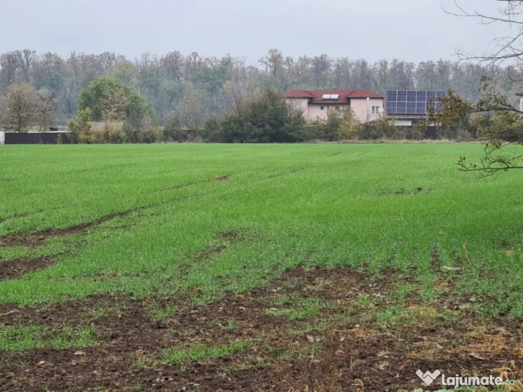 Teren Branesti -Romancierilor 