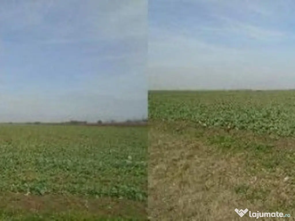 Teren cota parte 3/48 Tudor Vladimirescu R2548611