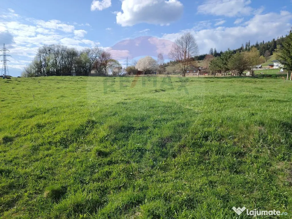 Teren 2,421mp Vatra Dornei / Strada Chilia