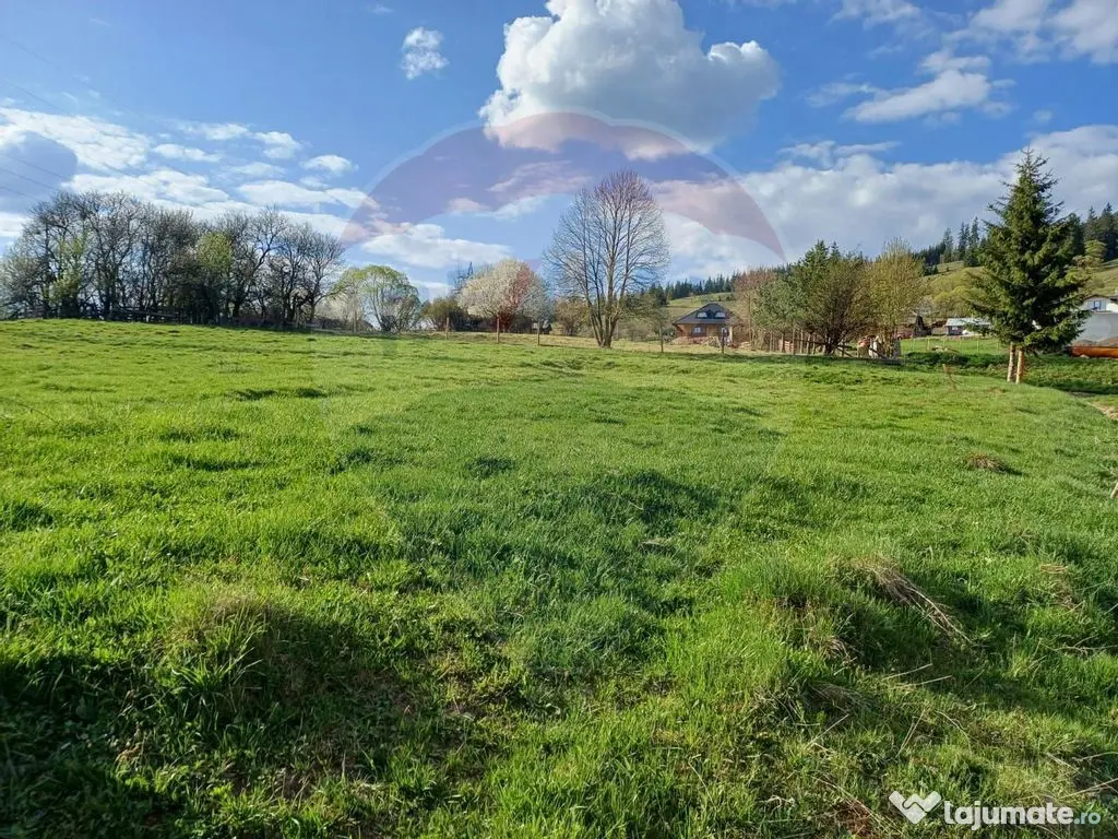 Teren 2,421mp Vatra Dornei / Strada Chilia