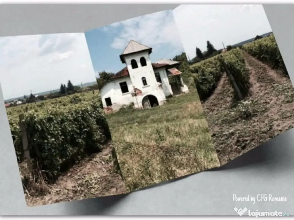 Teren de vanzre in Pitesti 53.000 mp + Conac Boieresc 