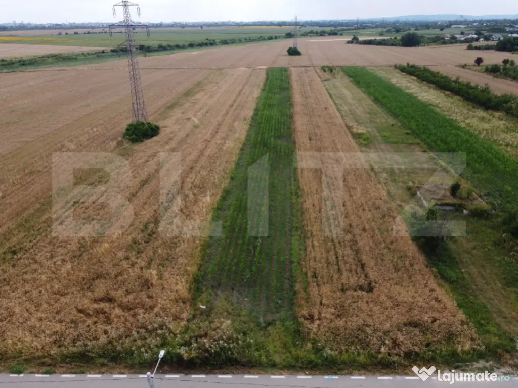 Teren de Vanzare in Razvad-Oportunitate Excelenta!