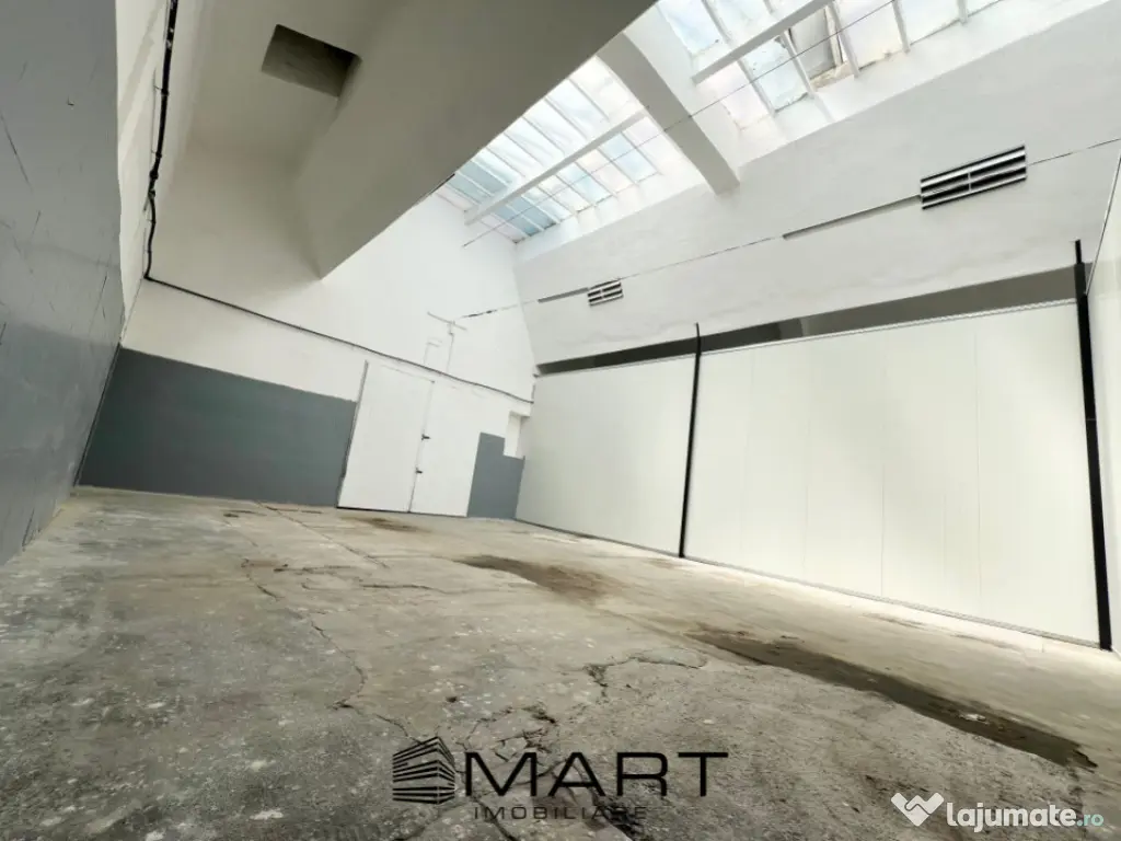 Hala industriala 100 mp Cisnadie