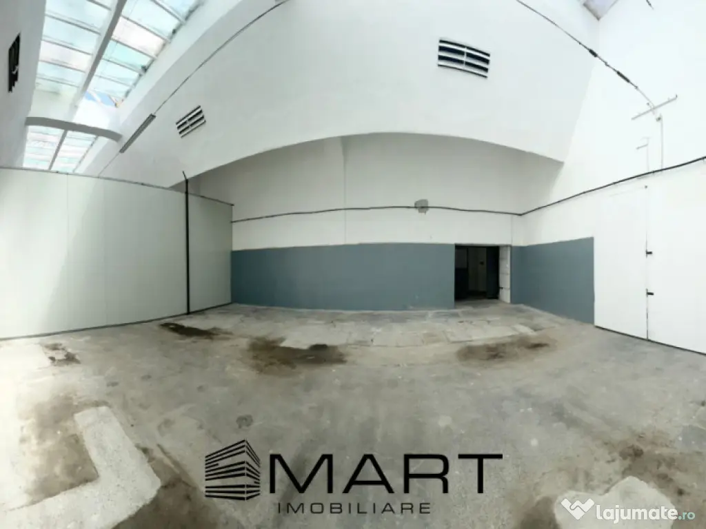 Hala industriala 100 mp Cisnadie