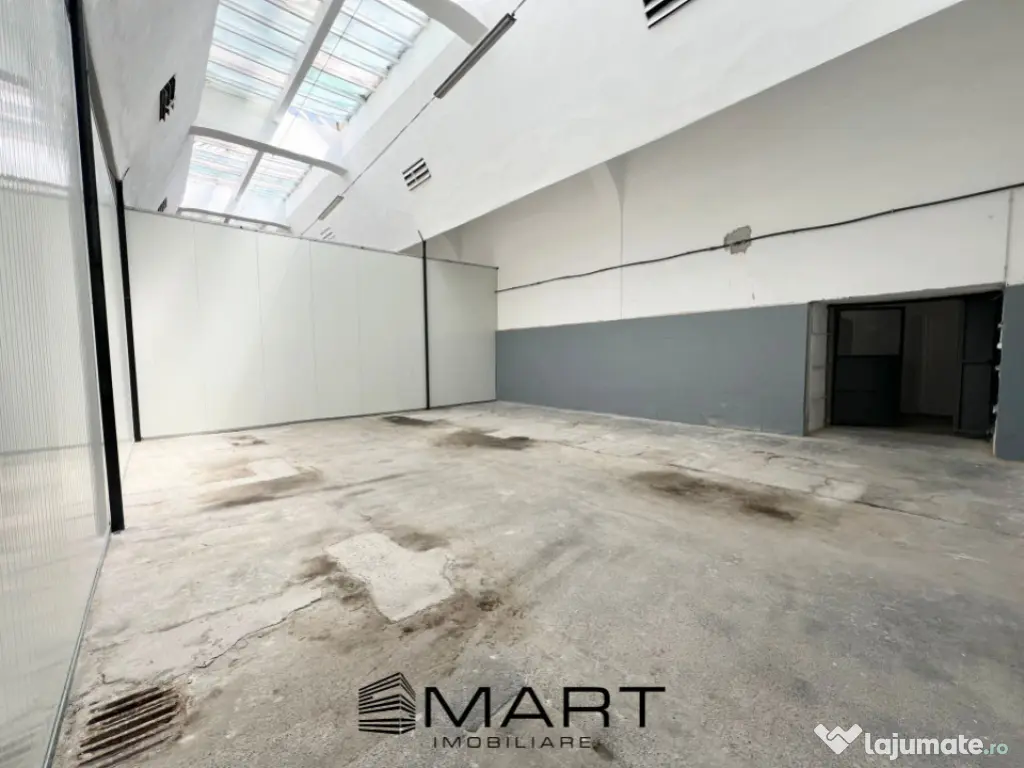 Hala industriala 100 mp Cisnadie