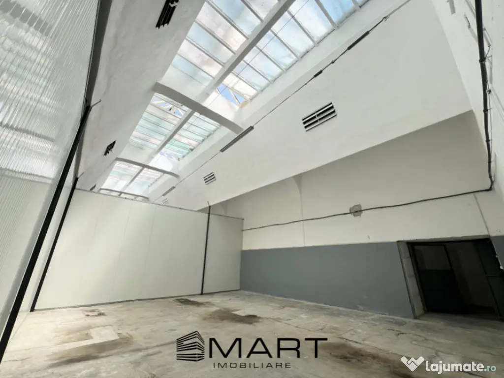 Hala industriala 100 mp Cisnadie