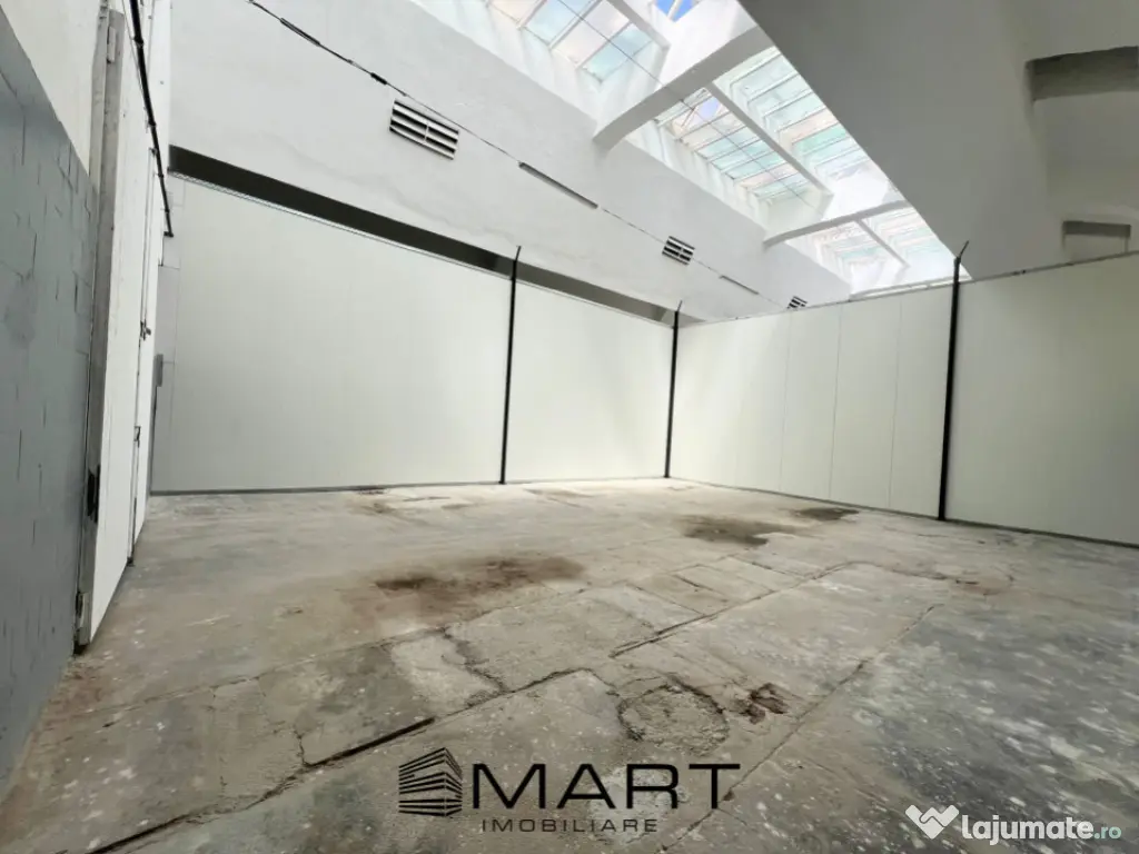 Hala industriala 100 mp Cisnadie
