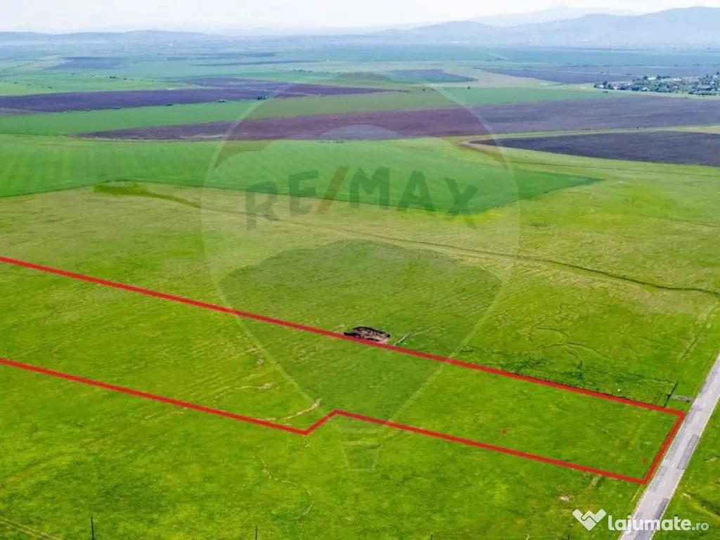 Teren agricol 5 ha, extravilan, 52 m deschidere la șosea