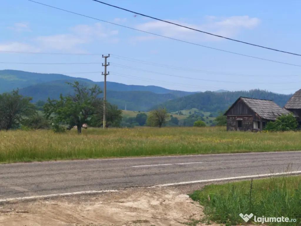 Casa+teren 5000mp, 70ml la DN 2E, zona Cacica, Radauti