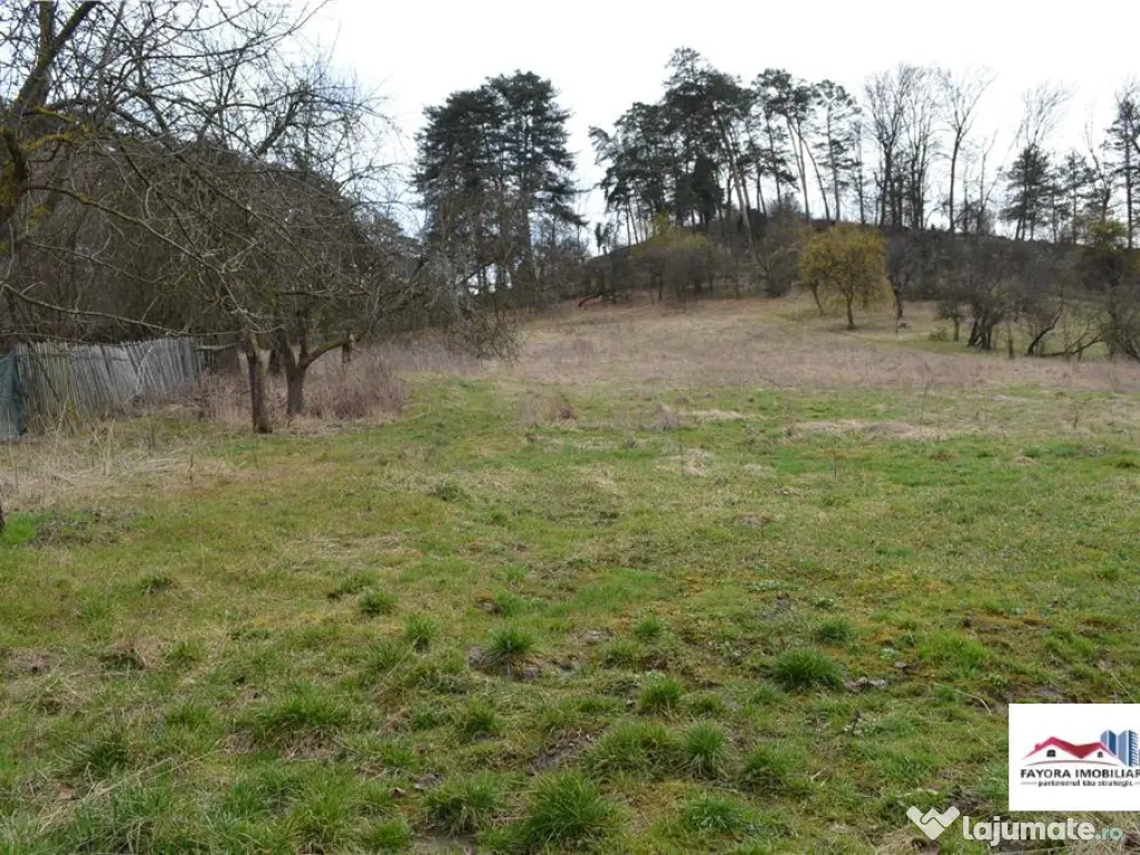 Teren de Zona Livezeni 