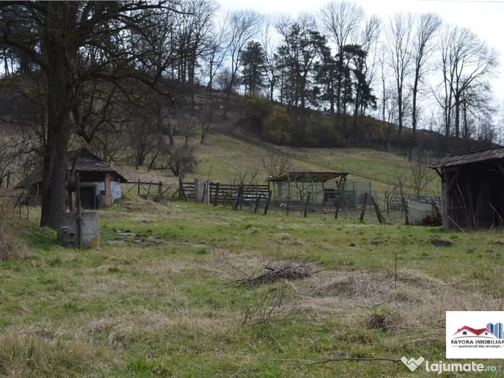 Teren de Zona Livezeni 