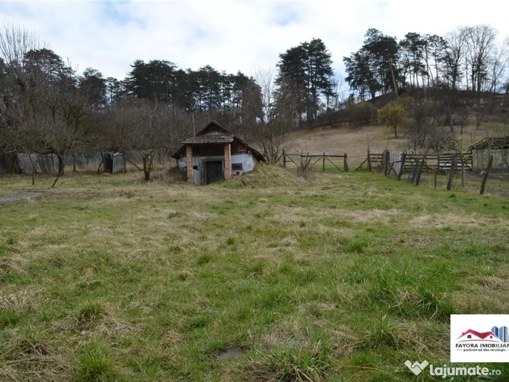 Teren de Zona Livezeni 