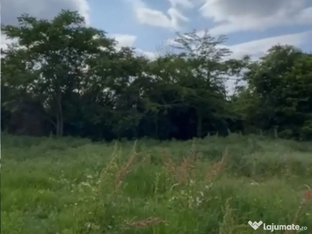 TEREN INTRAVILAN 600 mp Sisesti S+P+7E Sector 1 